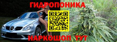 молекула духа Можга